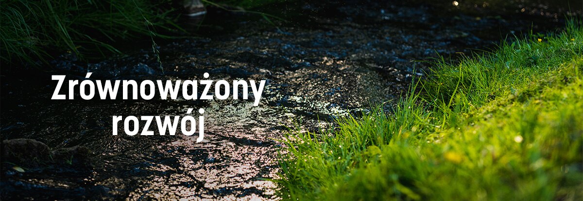 Zdjęcie z napisem Zrównoważony rozwój